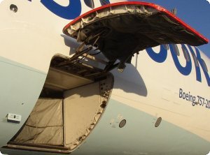 Cargo Door (showing Door Control Panel at bottom left)