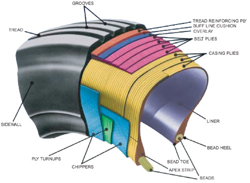 Tire Cross Section